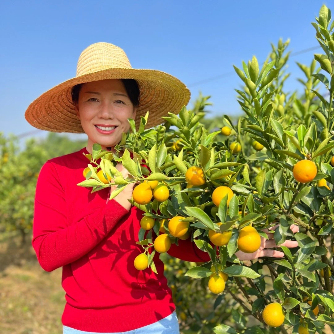 云姐家自种自卖第三代脆蜜金桔，纯甜无酸