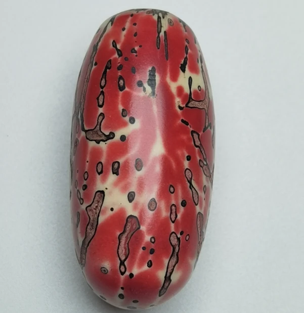 千眼菩提满江色果【红橙蓝绿紫】色