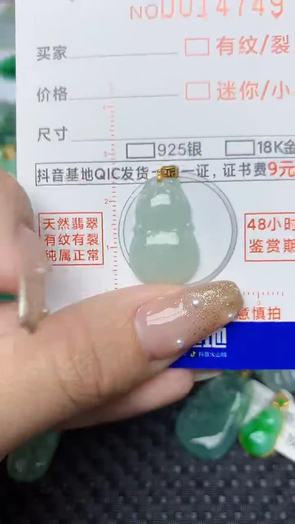 【闪购商品】翡翠颈饰18K金镶嵌100
