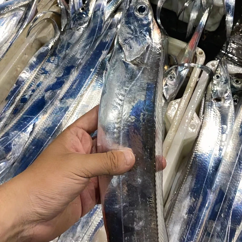 舟山  新鲜组合鱼类   置顶2 现称现卖 点击发货后不支持退款