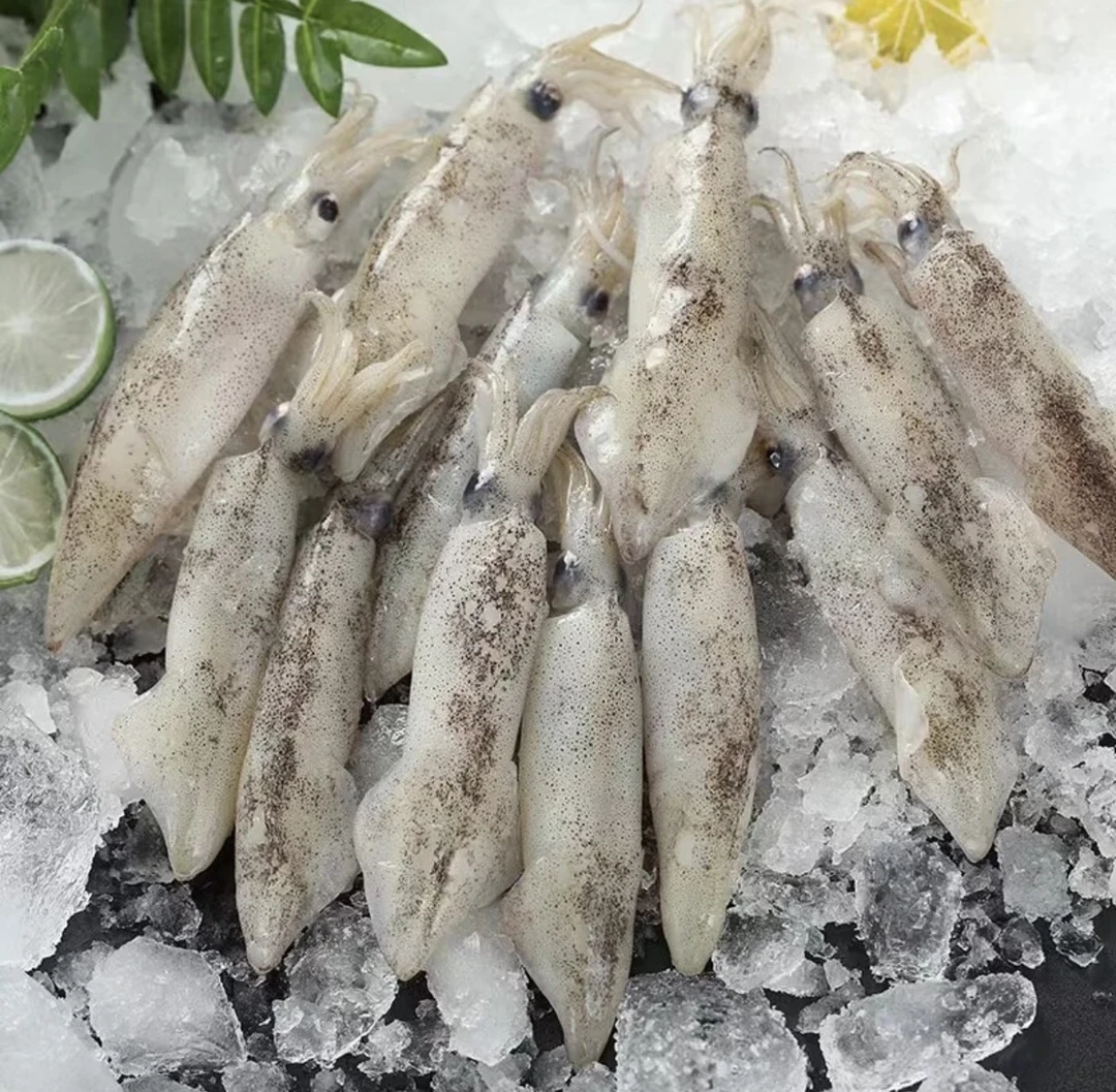 4斤新鲜速冻连云港海兔子/每包500克.12只 左右