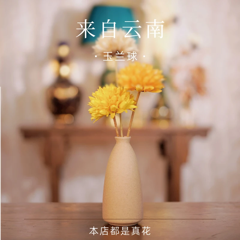 存下花期【玉兰球】卧室品质清新厕所摆件花加花瓶一整套