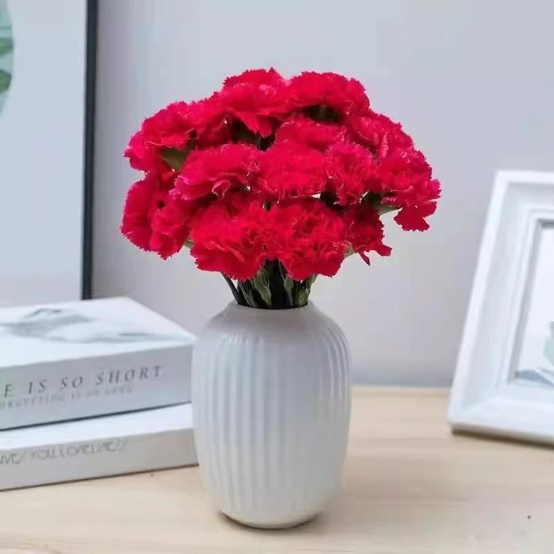 【秒杀】红色康乃馨鲜花鲜切花真花石竹花束家用水养插花云南鲜花