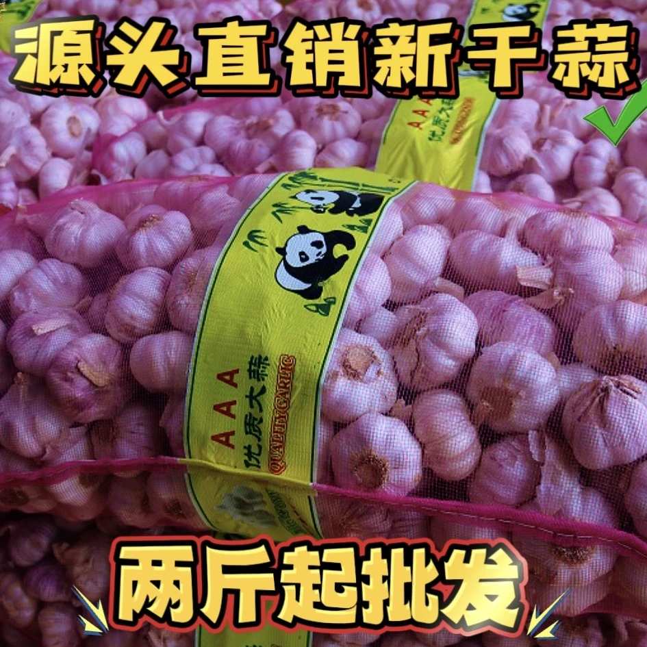 【新干蒜】2024年优质白皮大蒜晾晒大蒜新鲜干蒜头整箱批发