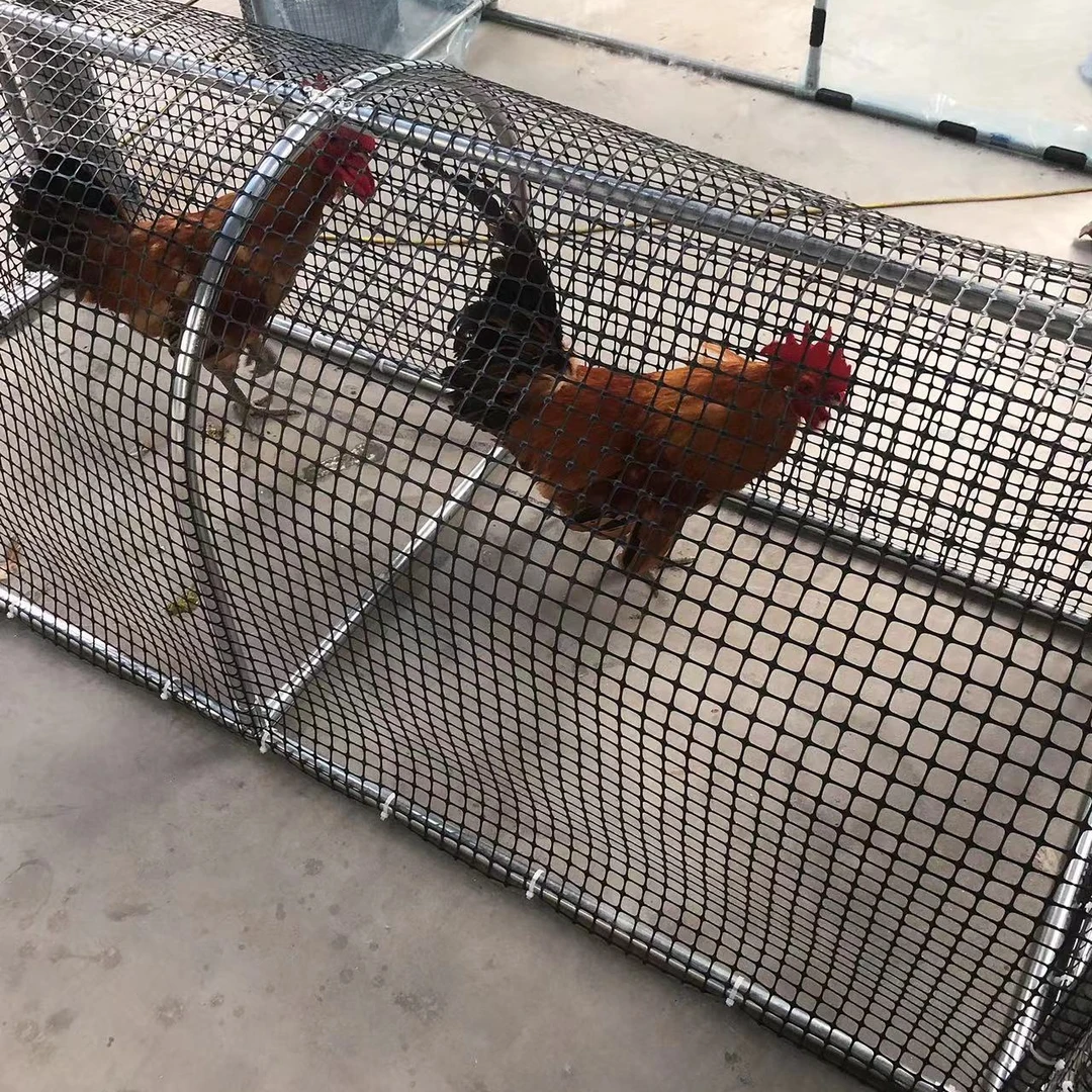 养殖多功能跑道，鸡鸭鹅兔子鸽子养殖棚定制