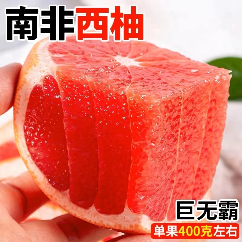 【酸苦味】南非进口红心西柚孕妇水果叶酸奶茶店特大单果350g以上