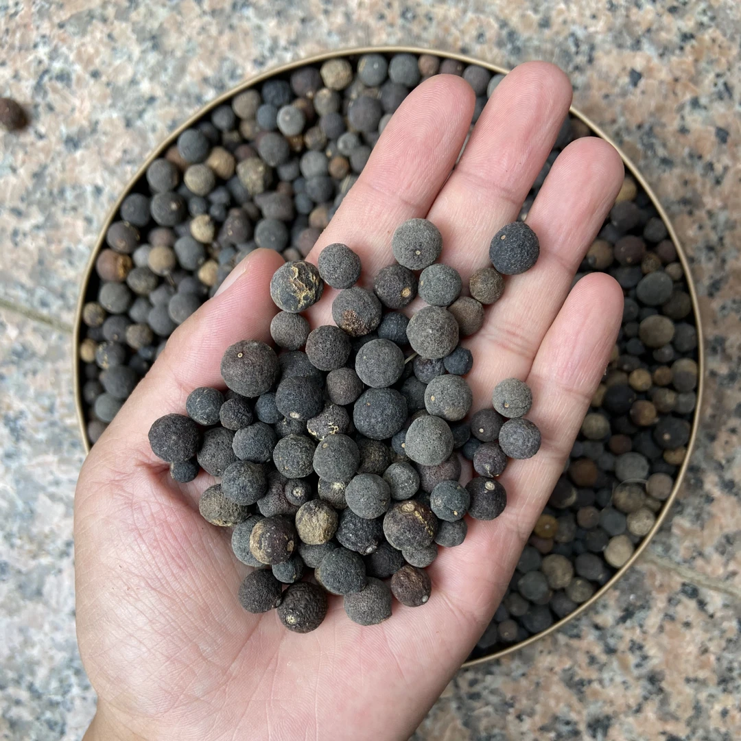 【广西桂林】农家自晒砂糖橘小柑胎特小粒 无硫泡水泡茶 柑橘味纯正