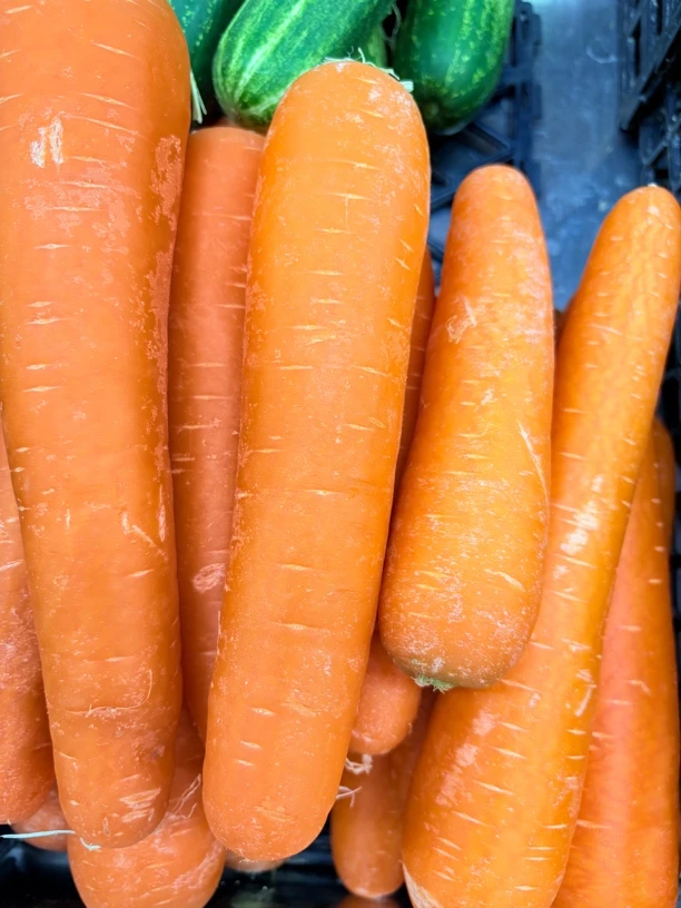 新鲜 胡萝卜 500克