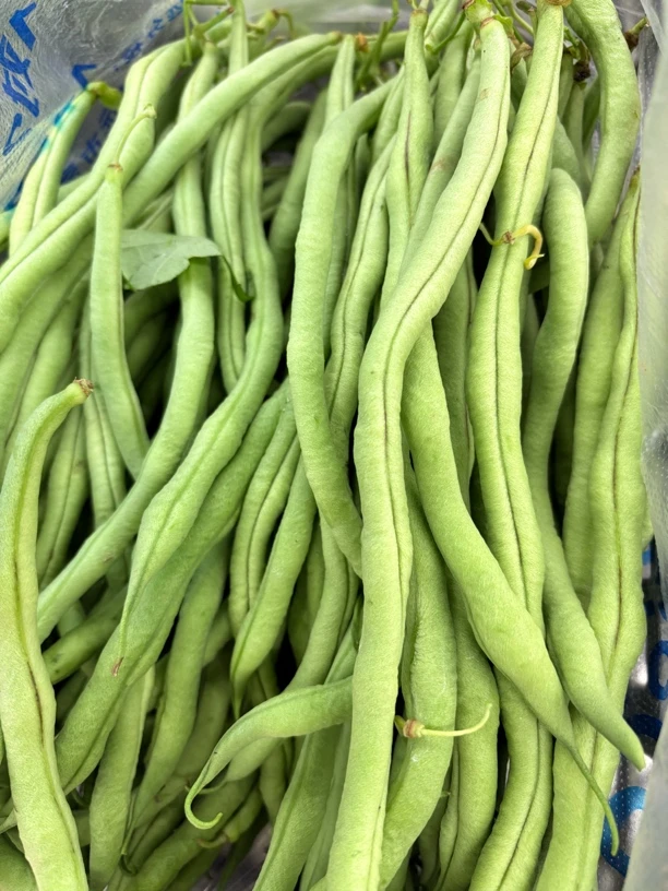 新鲜无茎豆 500克