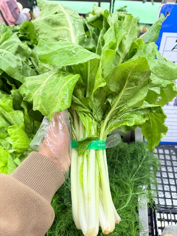 新鲜牛皮菜 500克