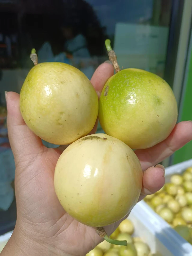 黄金 百香果 一公斤