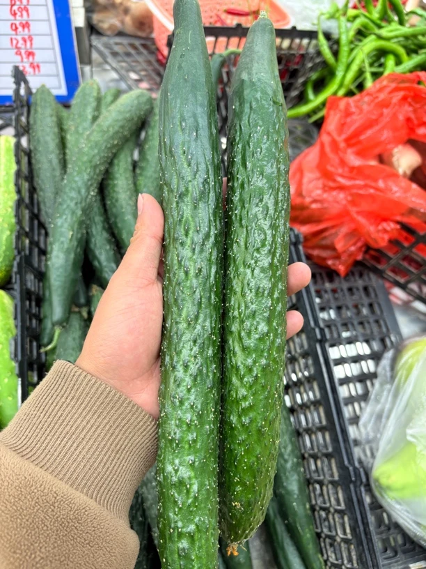 新鲜刺黄瓜 500克黄瓜同城送