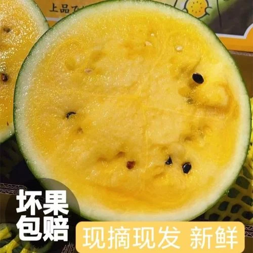 现摘特小凤黄心西瓜新鲜当季水果脆甜黄瓤冰淇淋黄肉西瓜薄皮整箱