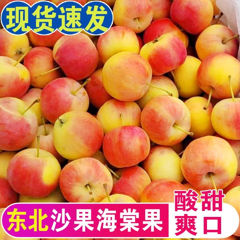 东北特产海棠果沙果新鲜当季应季孕妇水果酸甜脆黄太平小苹果包邮