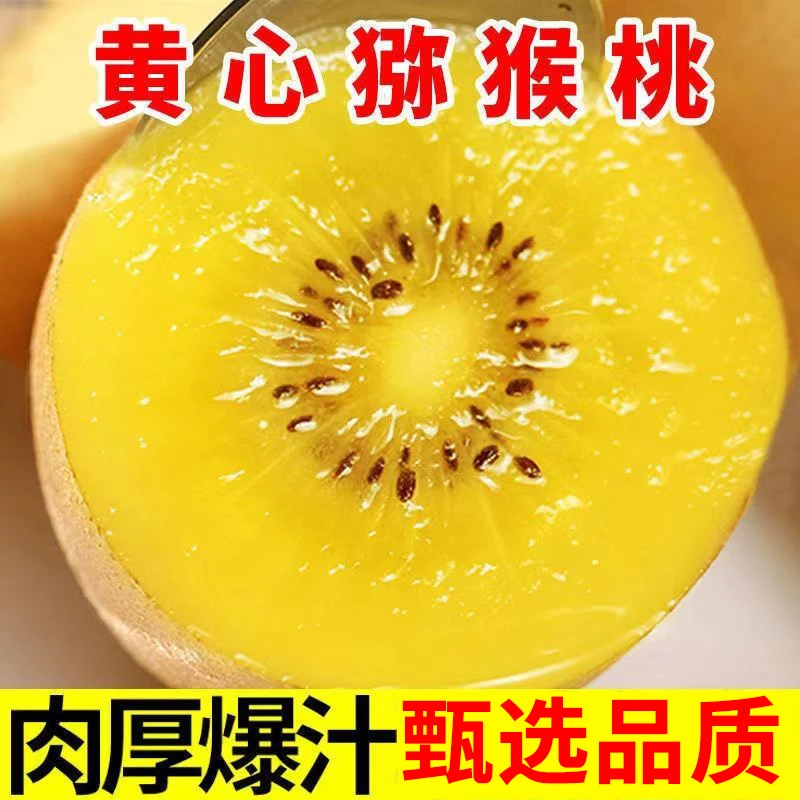 豫农乡珍西峡黄心猕猴桃金果奇异果新鲜应季孕妇水果当季整箱产地