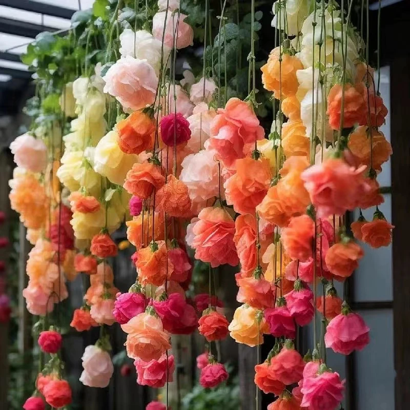 垂丝海棠花种子花种四季开花阳台盆栽室外多年生花卉种子新手懒人