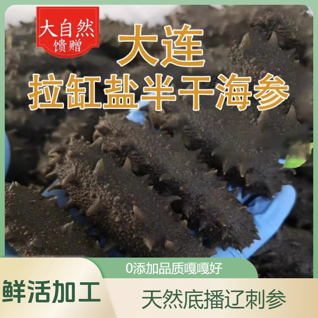 滋补大连底播半干海参辽参鲜食顶火拉缸盐大连源头直发辽刺参