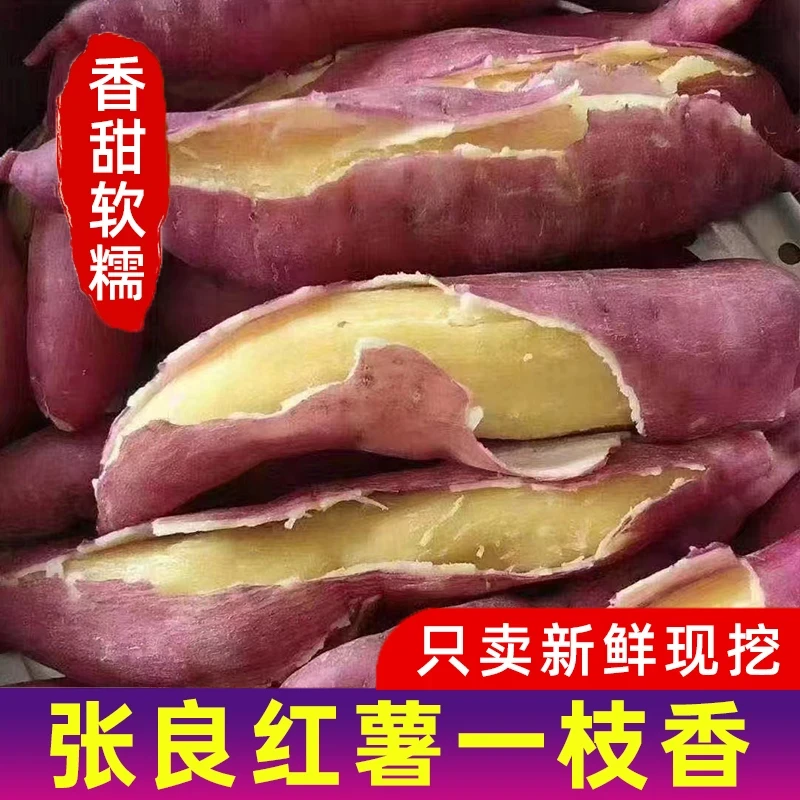 山西板栗红薯秦薯5号干面粉甜5斤/9斤