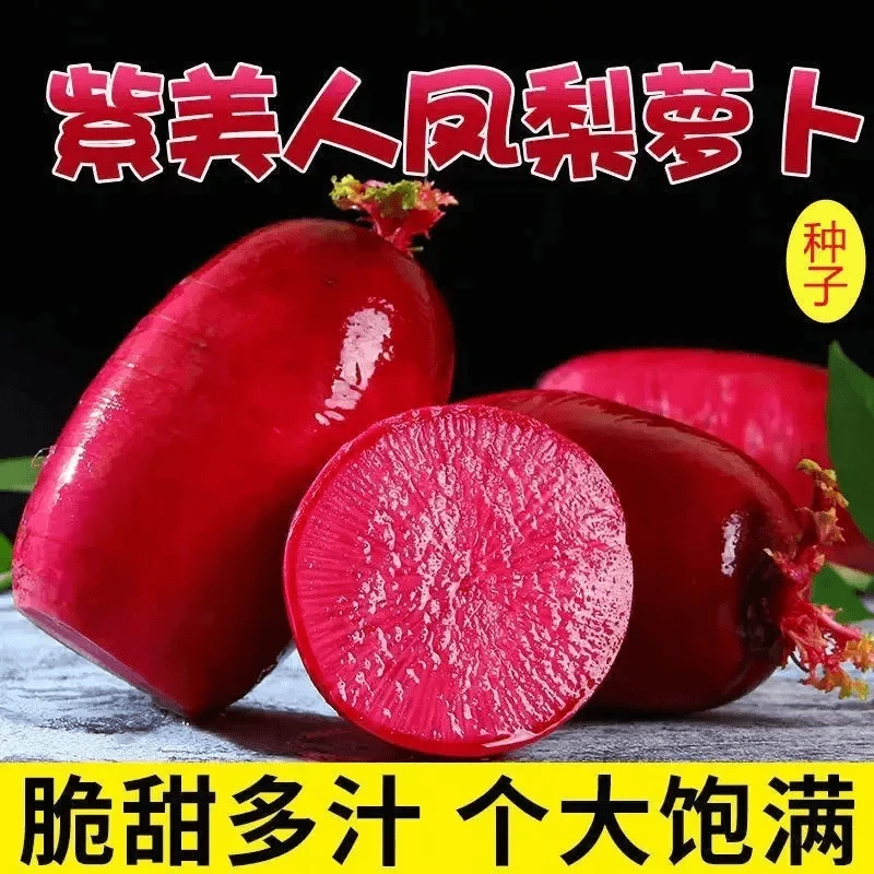 【抢3.2元/1包】凤梨萝卜种子甜脆水果红皮红心萝卜籽阳台盆菜种孑