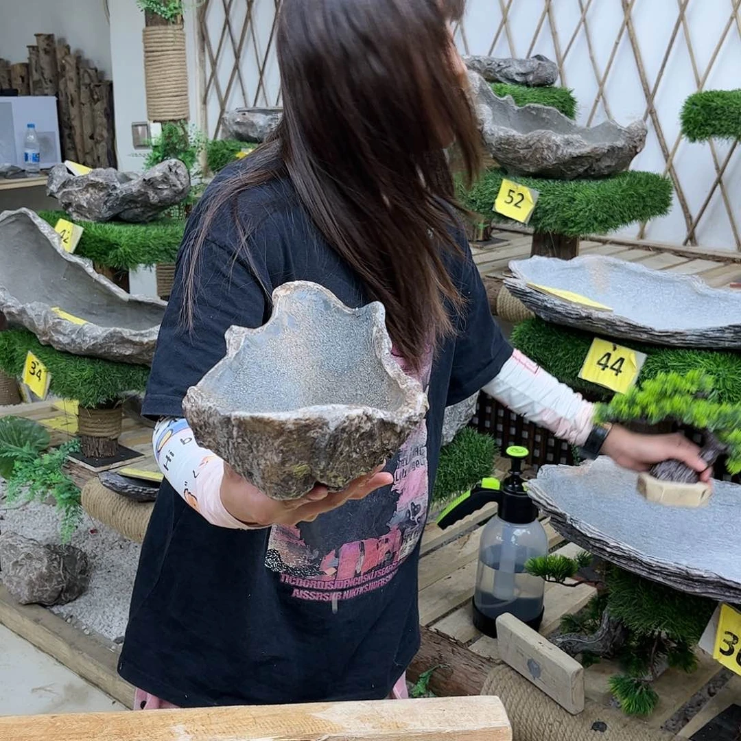 盆景艺术的设计p6-004