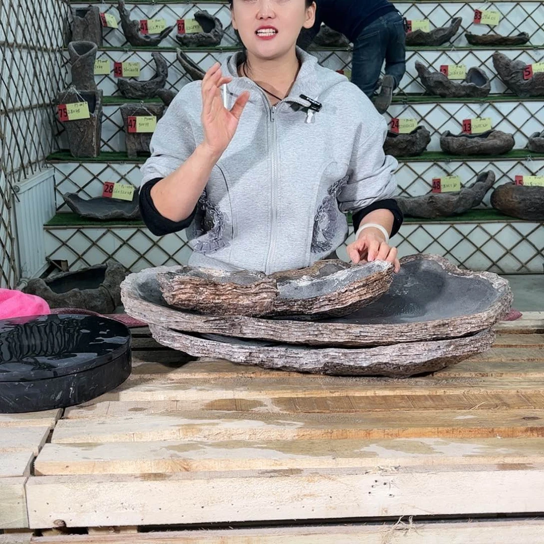 复合20CM以下盆景223