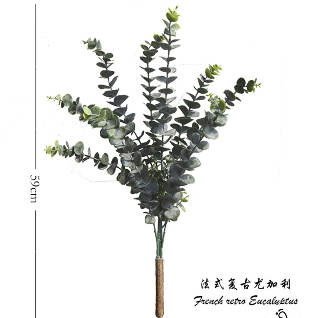 9叉尤加利叶