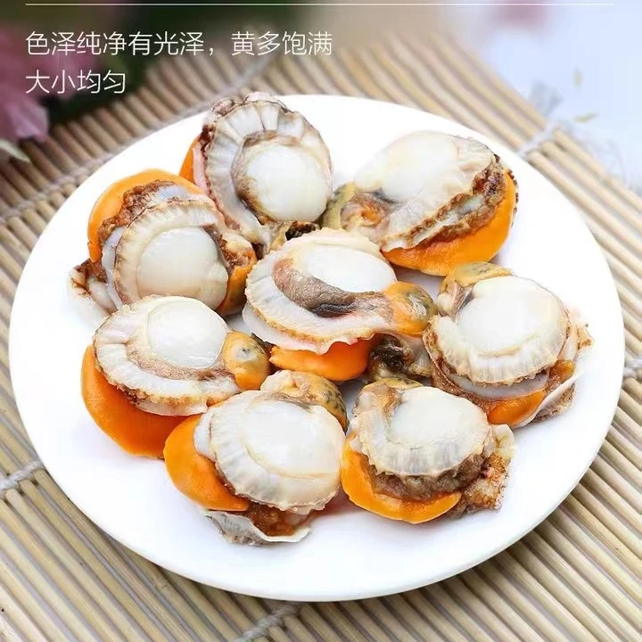 青岛本地扇贝肉2斤饱满新鲜