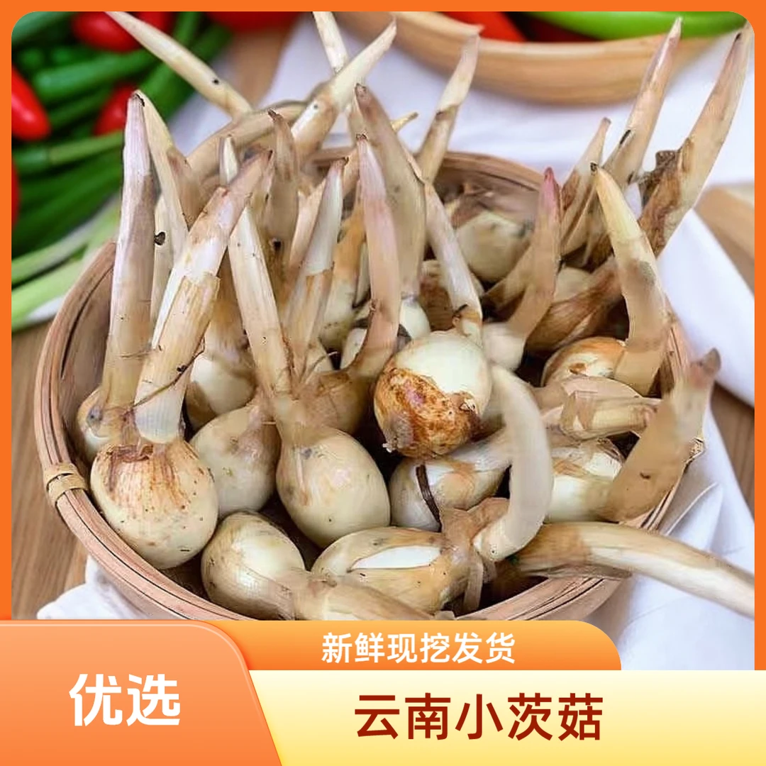 精选迷你小茨菇云南现挖新鲜紫慈姑白马蹄粉糯白茨菰野生燕尾蔬菜