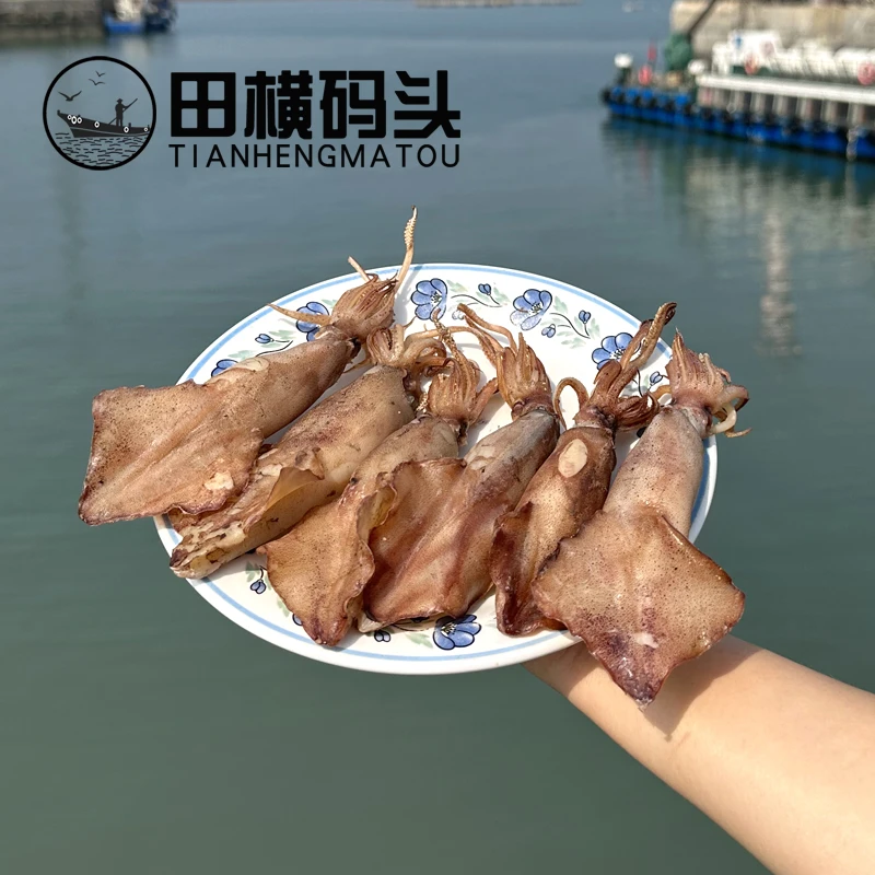 [顺丰包邮]海兔干青岛田横码头淡干墨鱼仔籽乌乌贼鱼干笔管鱼