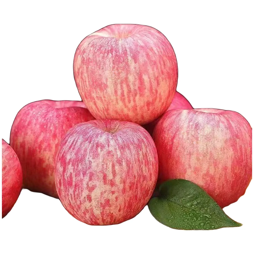 正宗陕西．红富士苹果10斤产地发货洛川当季新鲜水果，甜冰糖心苹果
