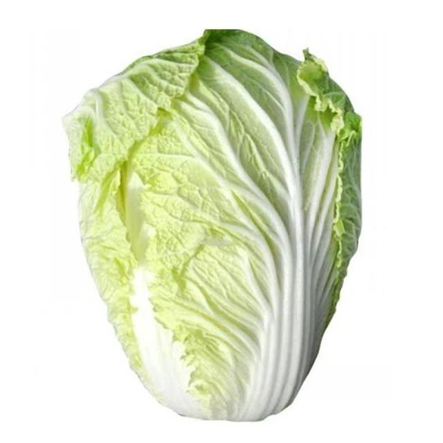 大白菜*一颗
