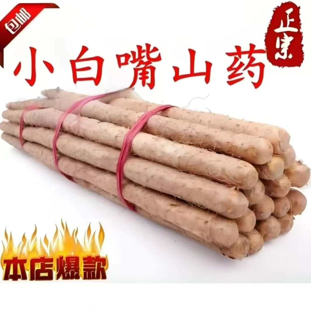 正宗小白嘴山药原产地直发 现挖现发新鲜