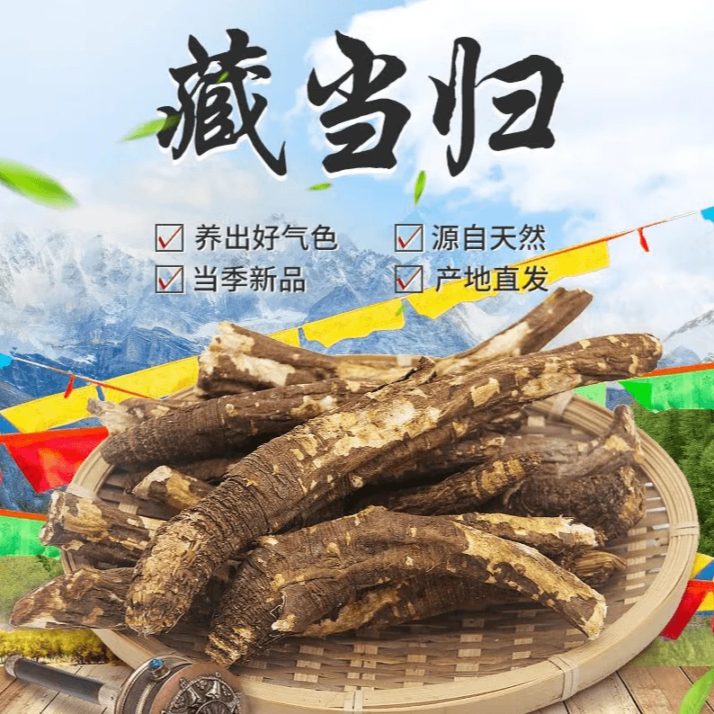 西藏藏当归西藏特产煲汤