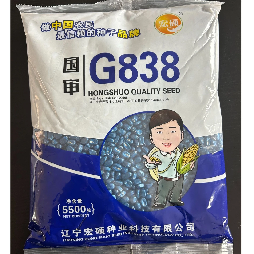 宏硕G838玉米杂交种