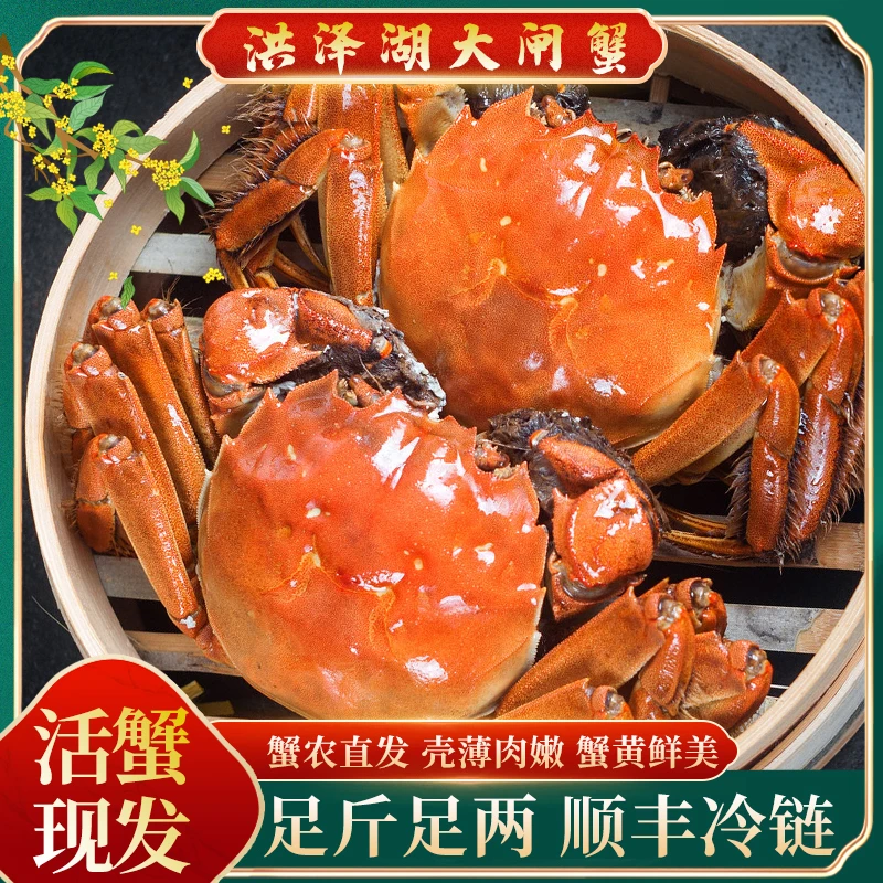 【活蟹现发】4.5-4.2公蟹+3.5-3.2两母蟹共8只送2只大闸蟹顺丰包邮D