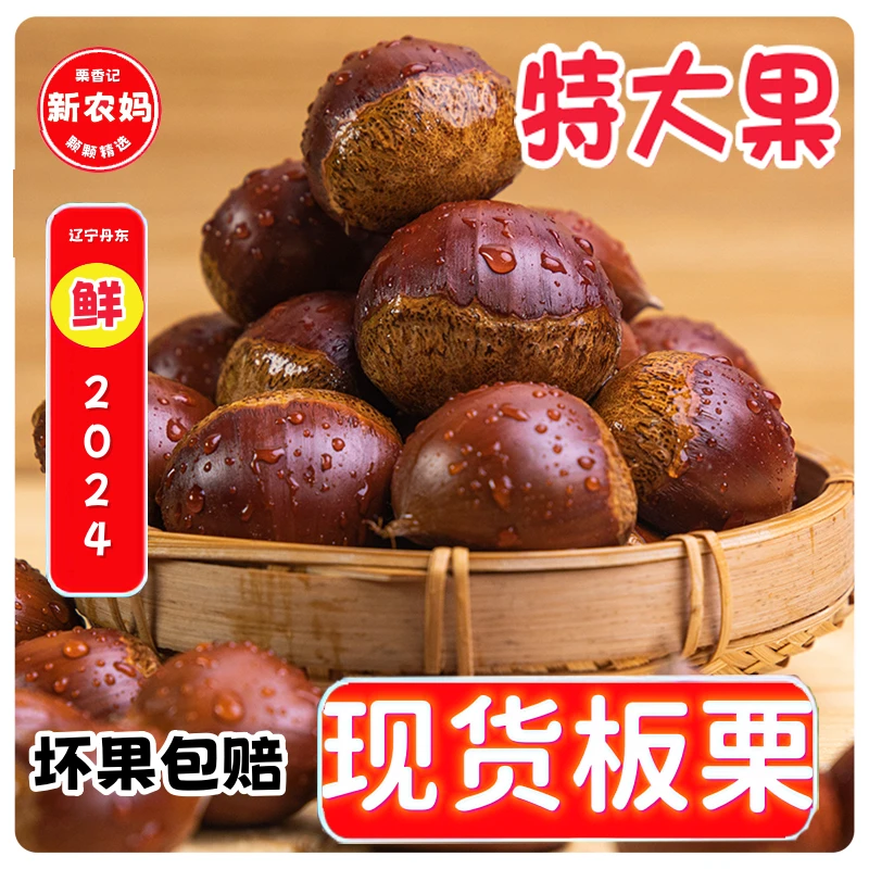 【买5斤送1斤】6斤特大板栗新鲜老树板栗生板栗粉糯香甜非油栗迁西
