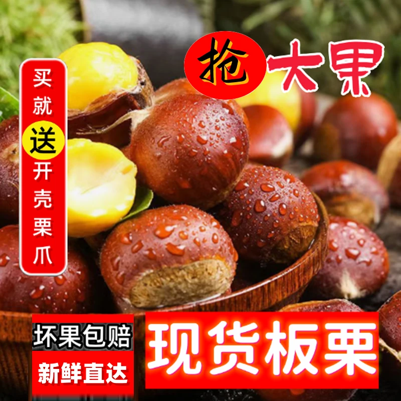 【出口果王】5斤老树板栗新鲜生板栗香甜即食现发营养成熟食用包赔