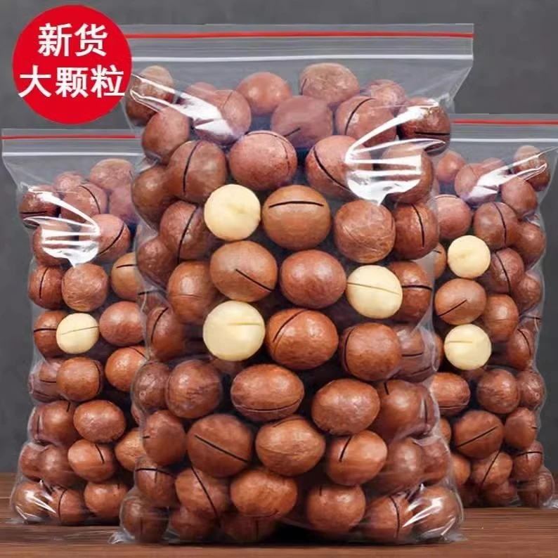 【新人】特产大颗粒夏威夷果整箱250g坚果特产干果零食新货