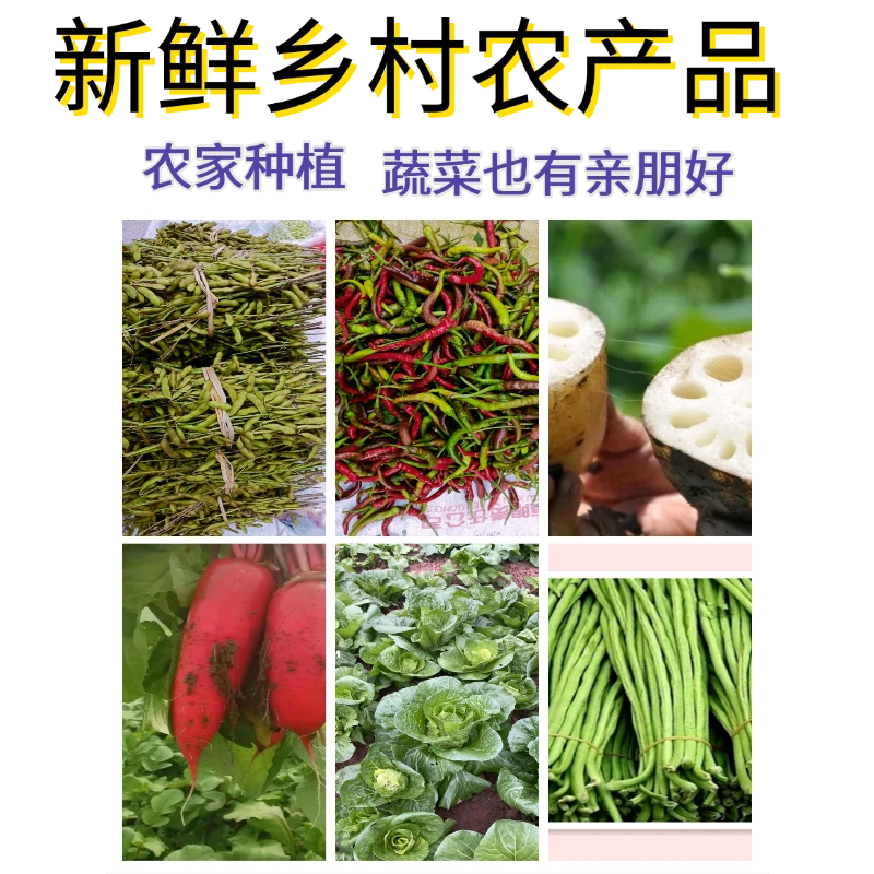 【小小助农收山货】助农赶集 湘西沅陵 老百姓自产山货 农副产品