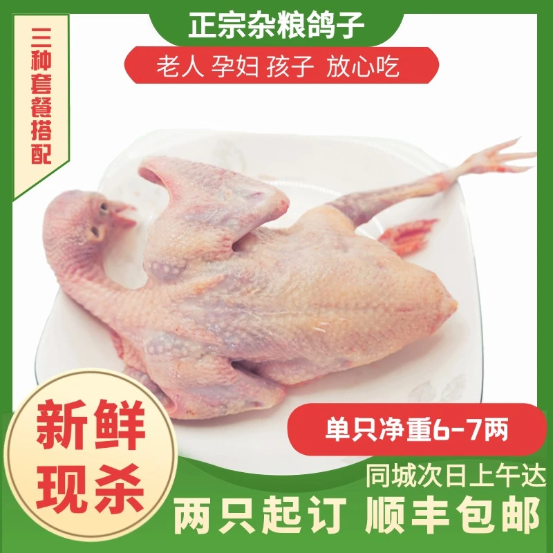 枝味浓百里洲杂粮飞鸽五谷杂粮喂养新鲜鸽子秋季营养冷鲜顺丰