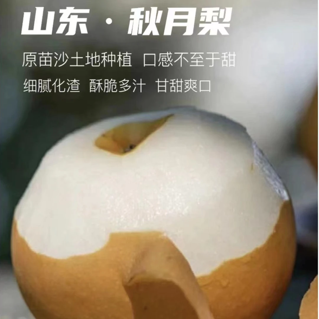 秋月梨 山东核心产区 甘甜爽口 5斤精选礼盒装 细腻化渣 新鲜采摘