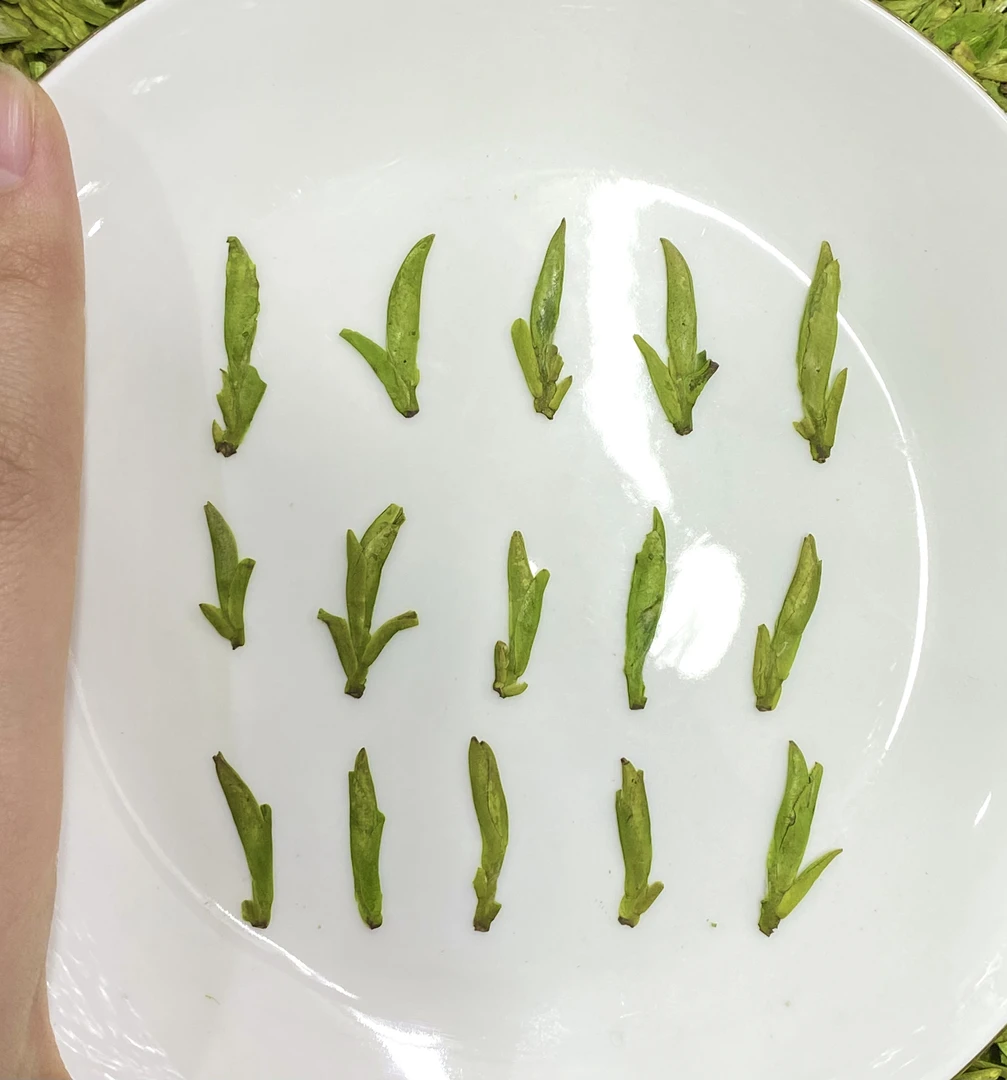 25年浙江高山肥芽龙井8-0-0 嫩绿汤豆花香 鲜爽回甘
