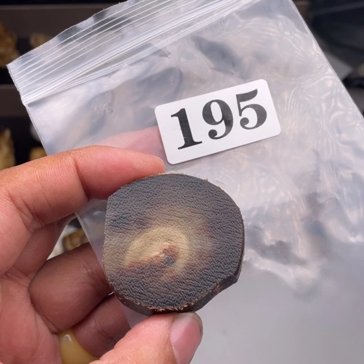 驼骨手串/手链人工养殖