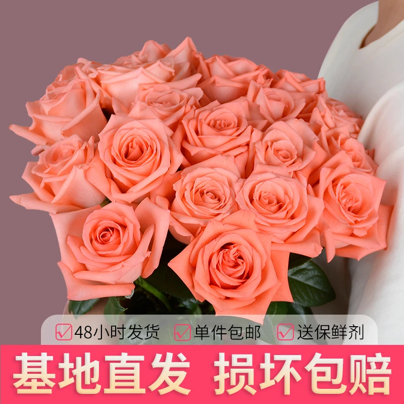 【福利爆款玫瑰花】鲜花花束云南基地直发影星玫瑰家庭插花客厅摆设