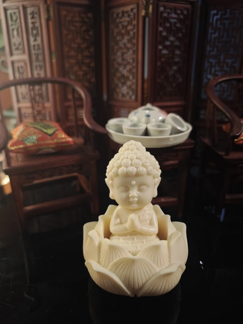 车摆宝宝佛象牙果