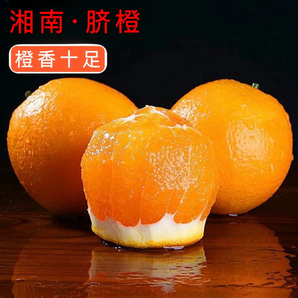 【血亏10000箱】脐橙中果子口感纯甜当季水果新鲜橙子新鲜采摘果王