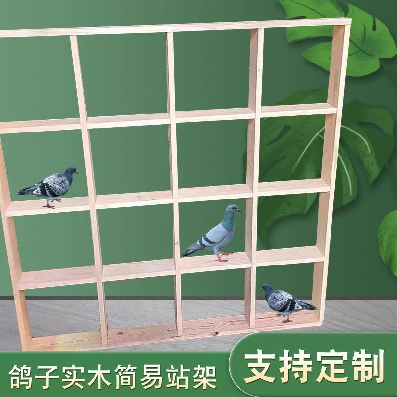 鸽具 赛鸽组合实木架 鸽子站架 木质架  公棚专用休息架 鸽舍架