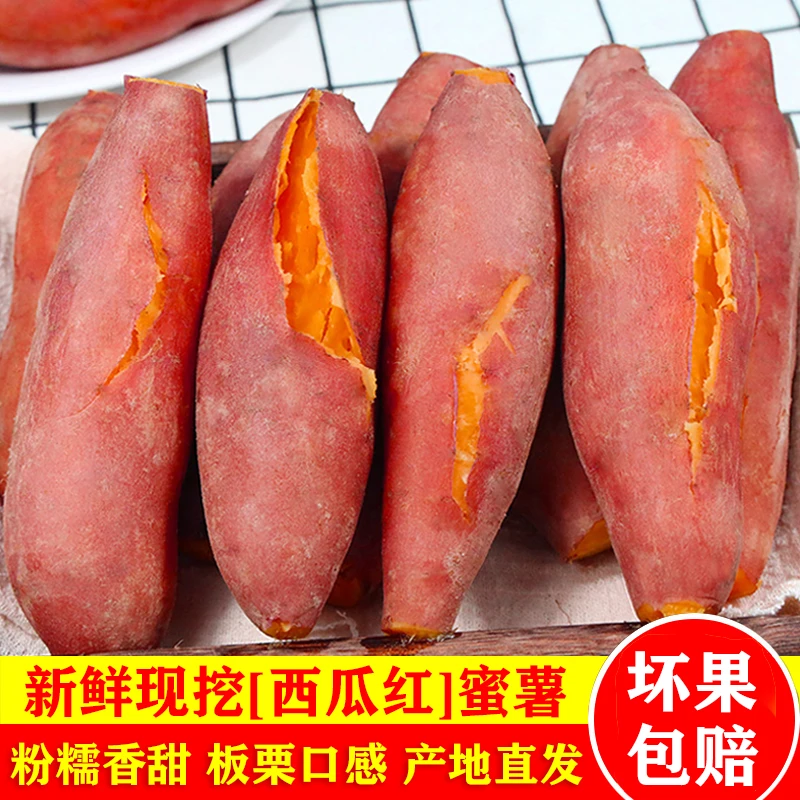 正宗沙地西瓜红蜜薯红薯新鲜农家糖心番薯山芋批发香甜软糯粗粮