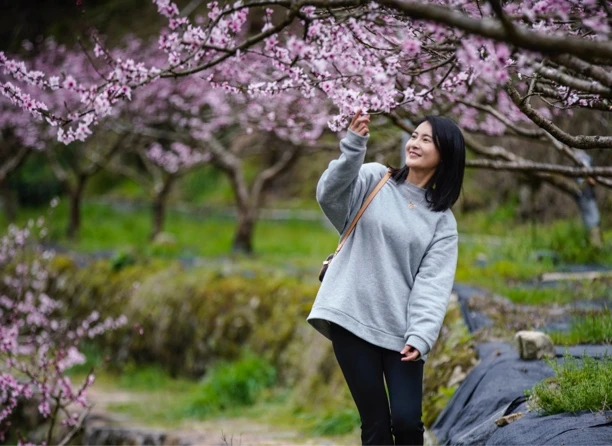 杂七杂八 茄子 黄豆