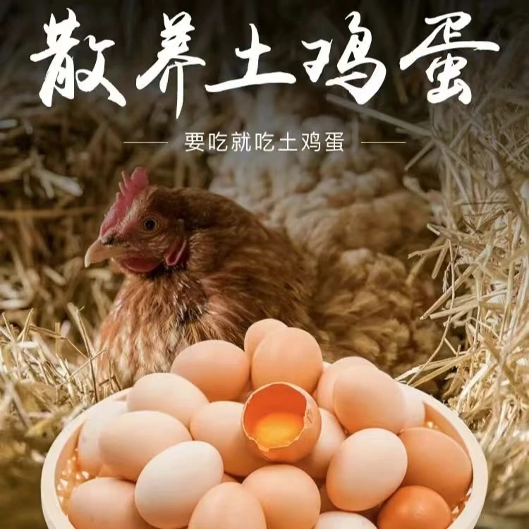 （50枚）100%山林散养土鸡蛋，现捡现发，新鲜有保证